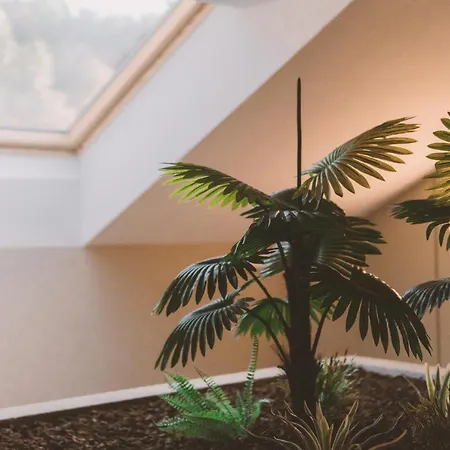 Candor Hotel San Salvador