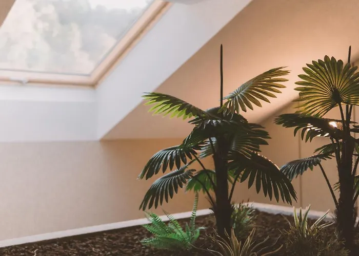 Candor Hotel San Salvador