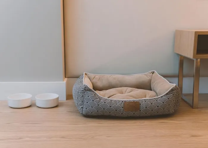 Candor Hotel San Salvador